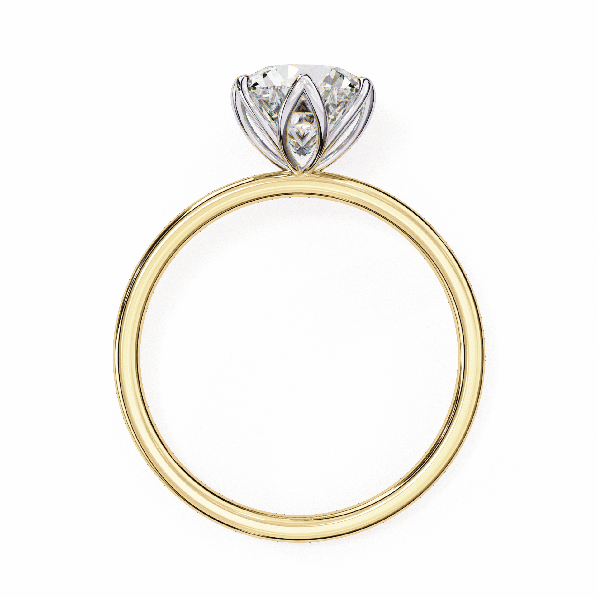 2 Carat Round Eternal Solitaire Band in Moissanite | House of Estara