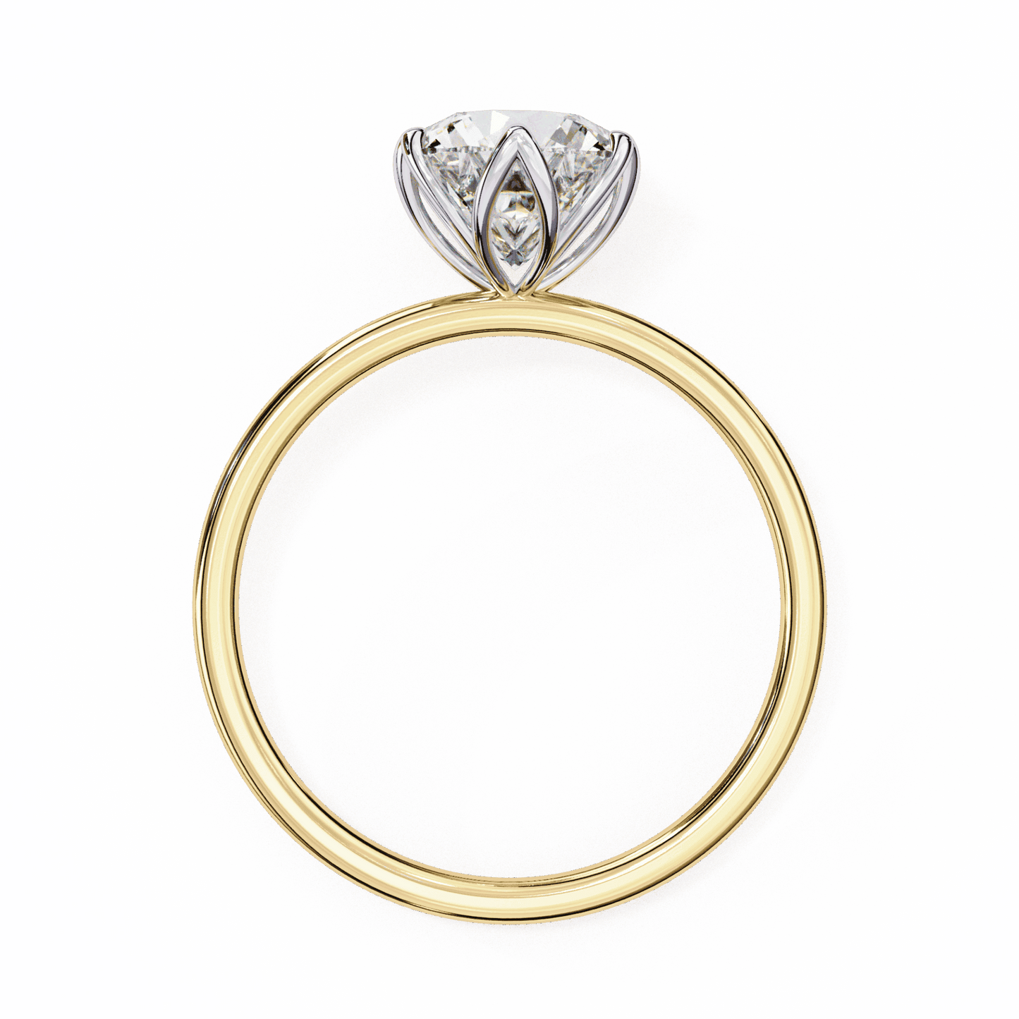 2 Carat Round Eternal Solitaire Band in Moissanite | House of Estara