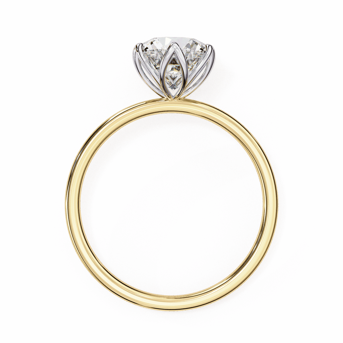 2 Carat Round Eternal Solitaire Band in Moissanite | House of Estara