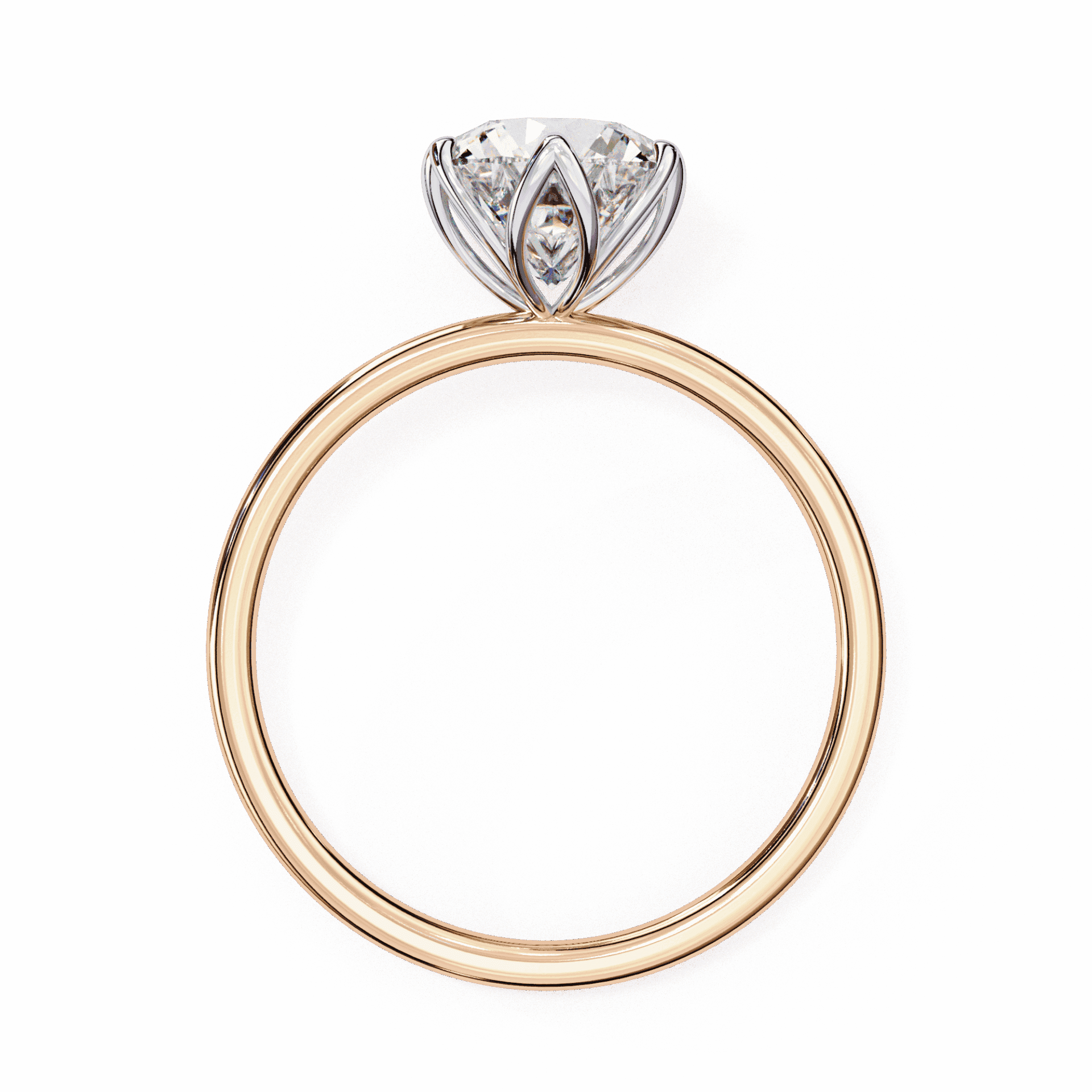2 Carat Round Eternal Solitaire Band in Moissanite | House of Estara